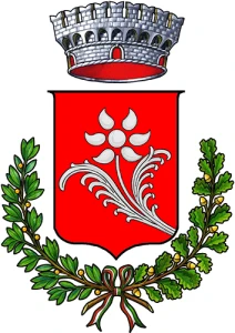 Nomi