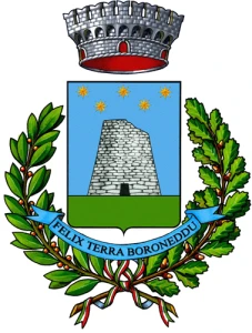 Boroneddu