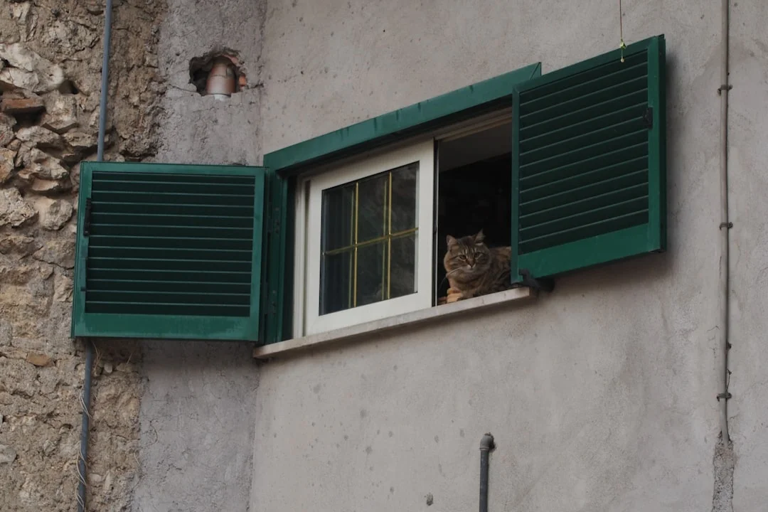 Moricone