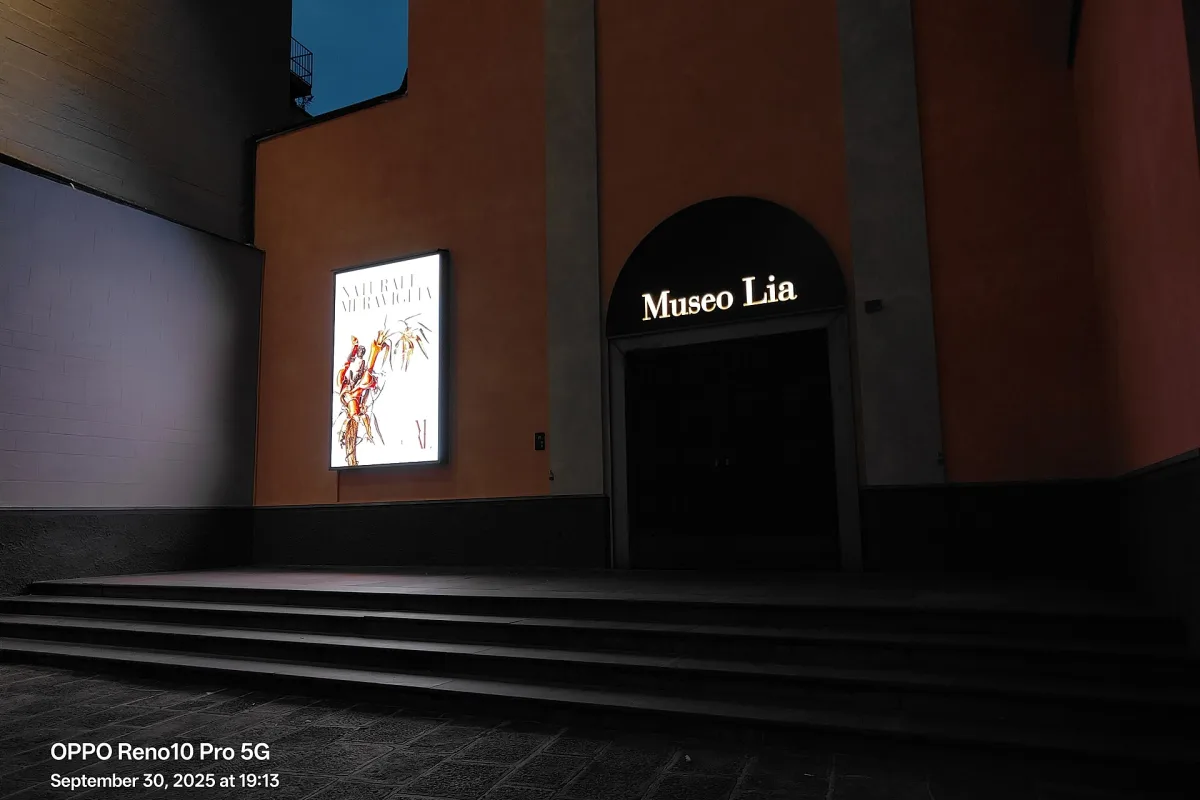Museo Civico Amedeo Lia
