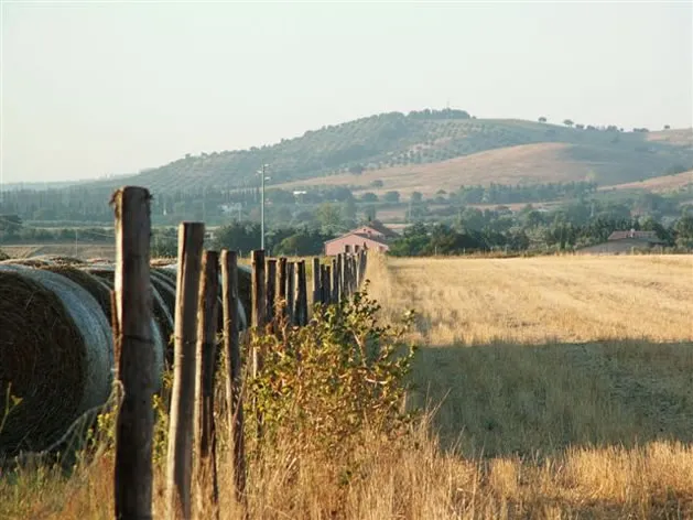 Ansedonia
