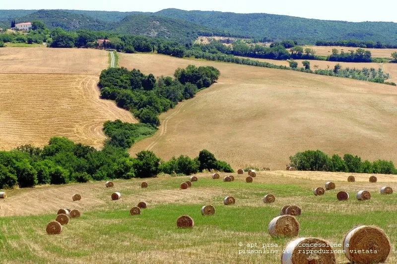 Complesso Monumentale di Vicopisano: Rocca del Brunelleschi e Palazzo Pretorio