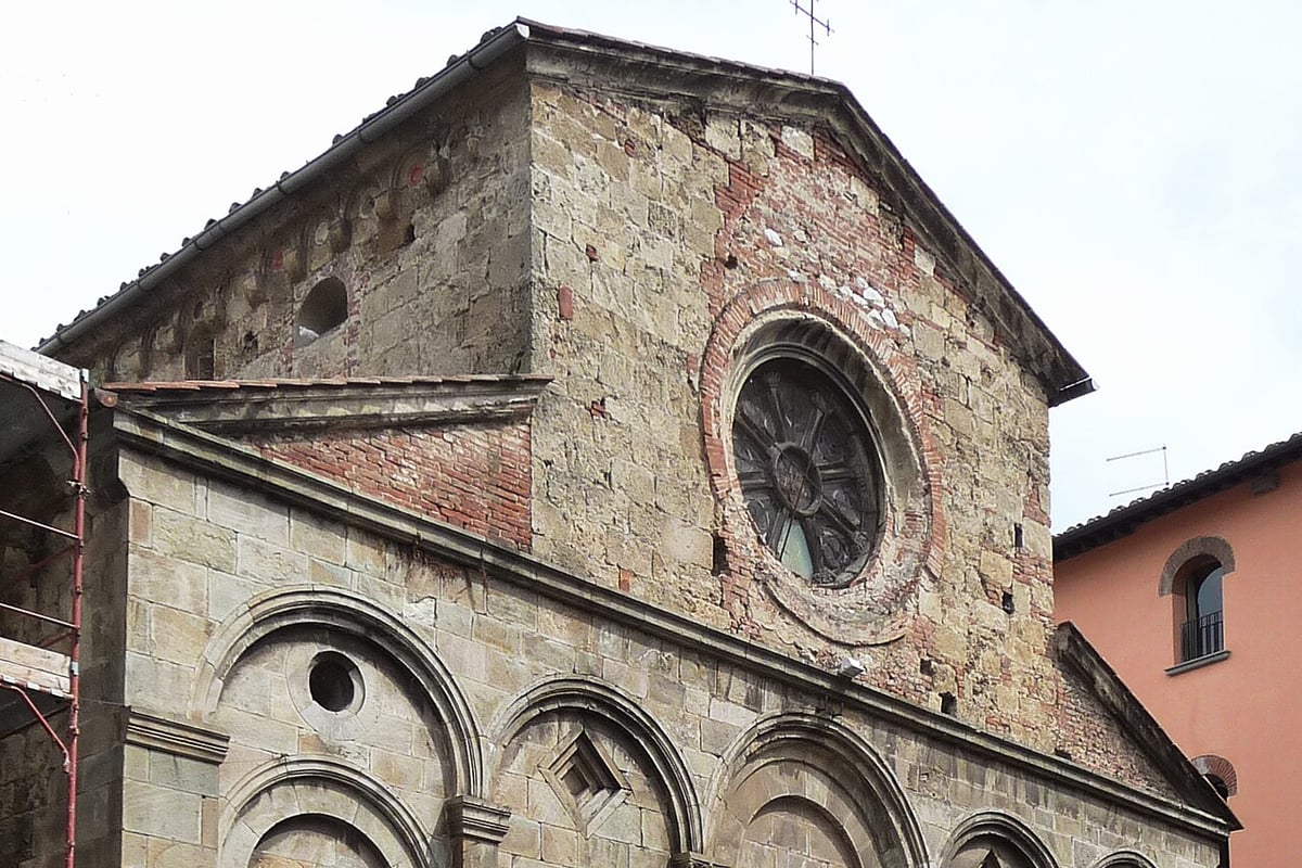 Olive di Pisa