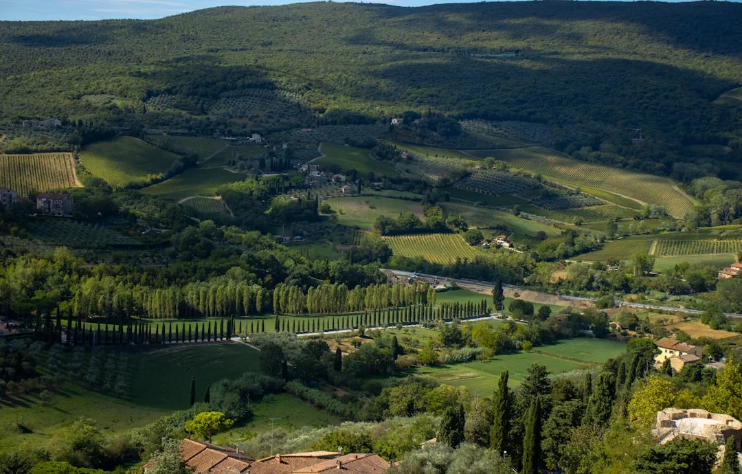 Museo Civico e Pinacoteca Crociani di Montepulciano (SI)